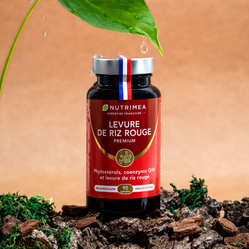 Levure de riz rouge Premium en complément alimentaire