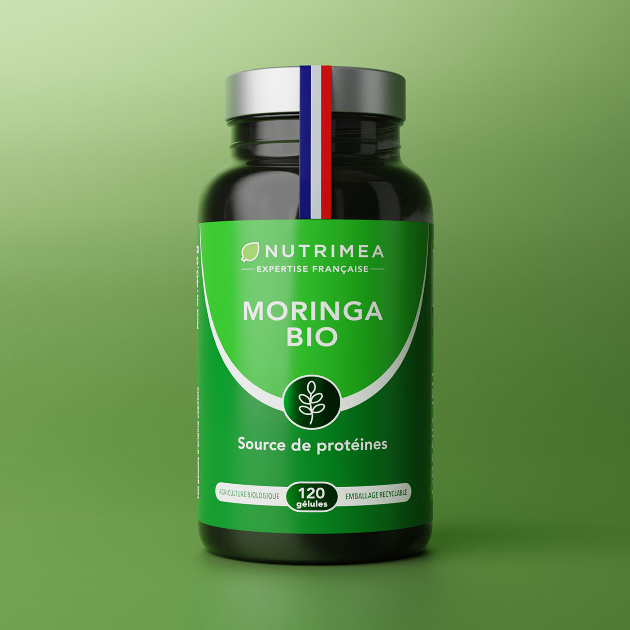 Acheter Moringa Oleifera Bio