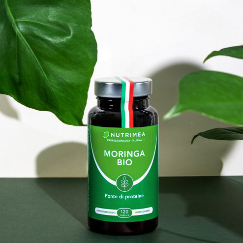 Proprietà della polvere di moringa in capsule