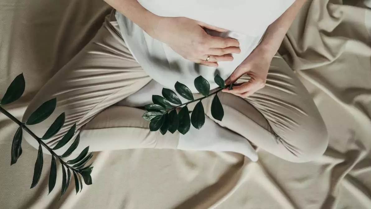 Femme enceinte assise sur un lit avec une branche de plante verte pour illustrer une grossesse saine.