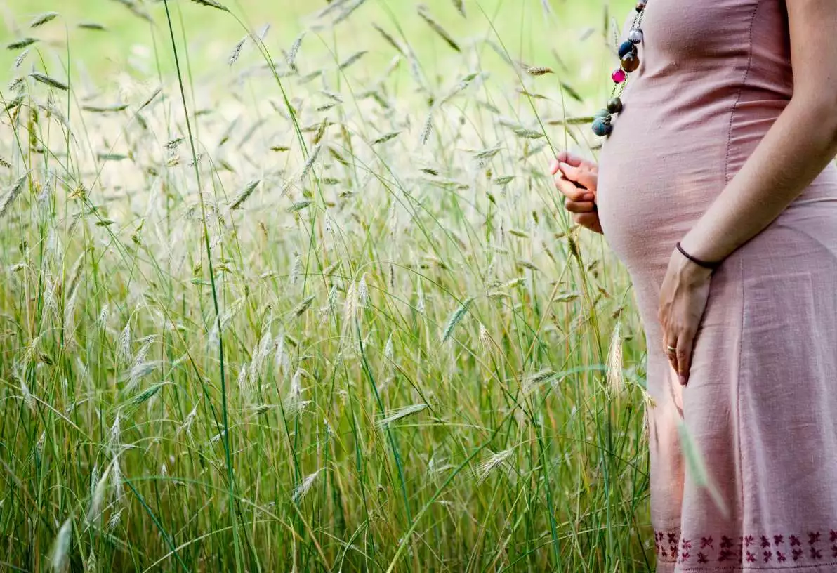 Portrait d’une femme enceinte dans un champ de blé.