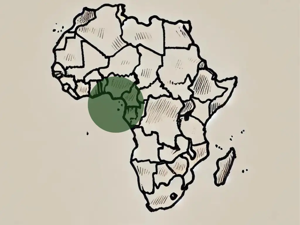 Carte de l'Afrique avec une zone de couleur montrant d'ou vient le Griffonia