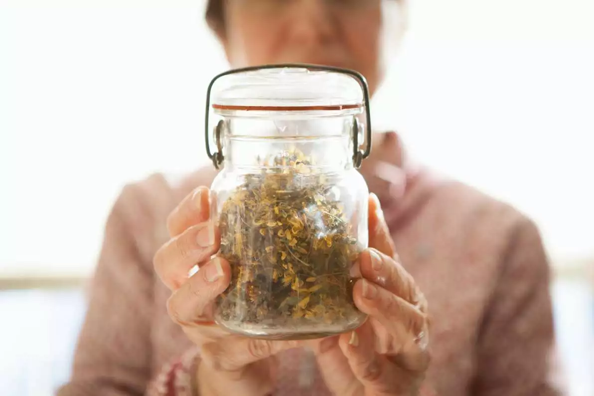 Un pot de millepertuis tenu dans les mains en souriant