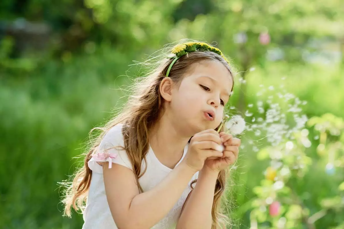 Petite fille qui souffle sur un pissenlit, symbolisant l'arrivée du printemps et des allergies respiratoires.