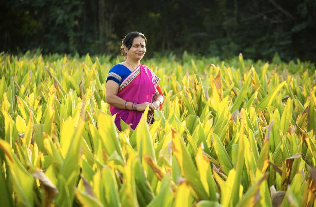 femme indienne dans un champ de curcuma