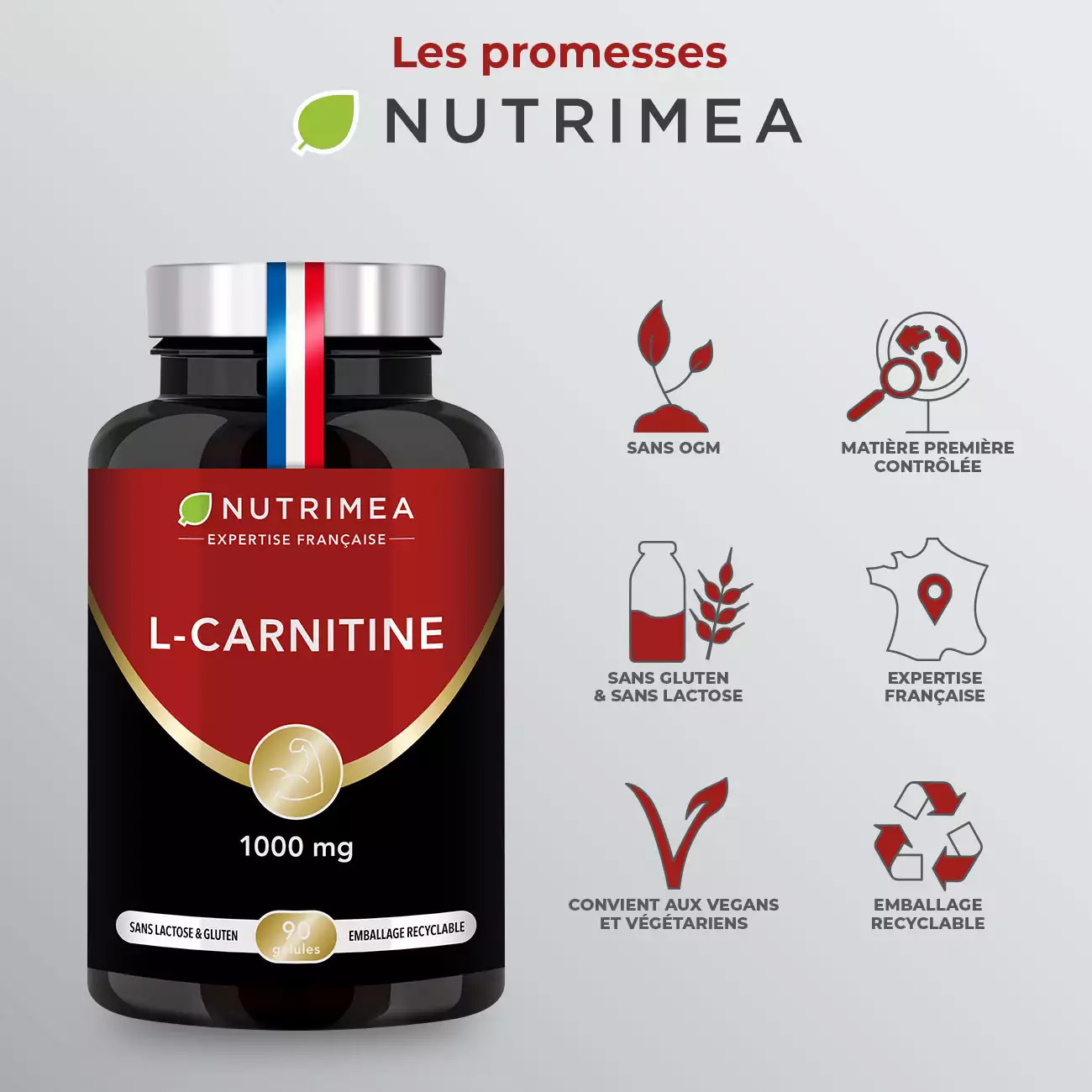 Gélules de Carnitine