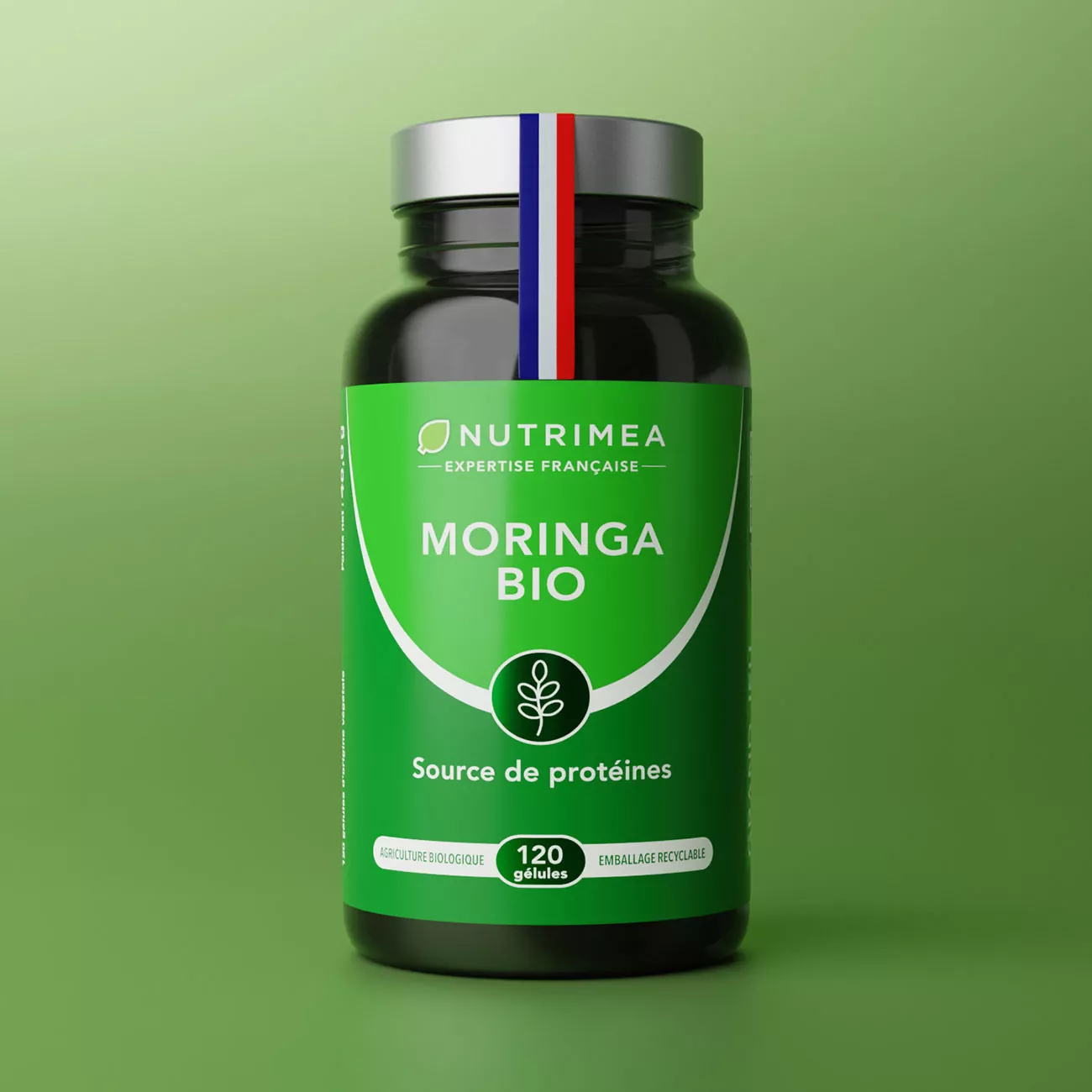 Acheter Moringa Oleifera Bio