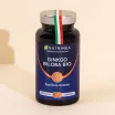 Ginkgo Biloba Bio